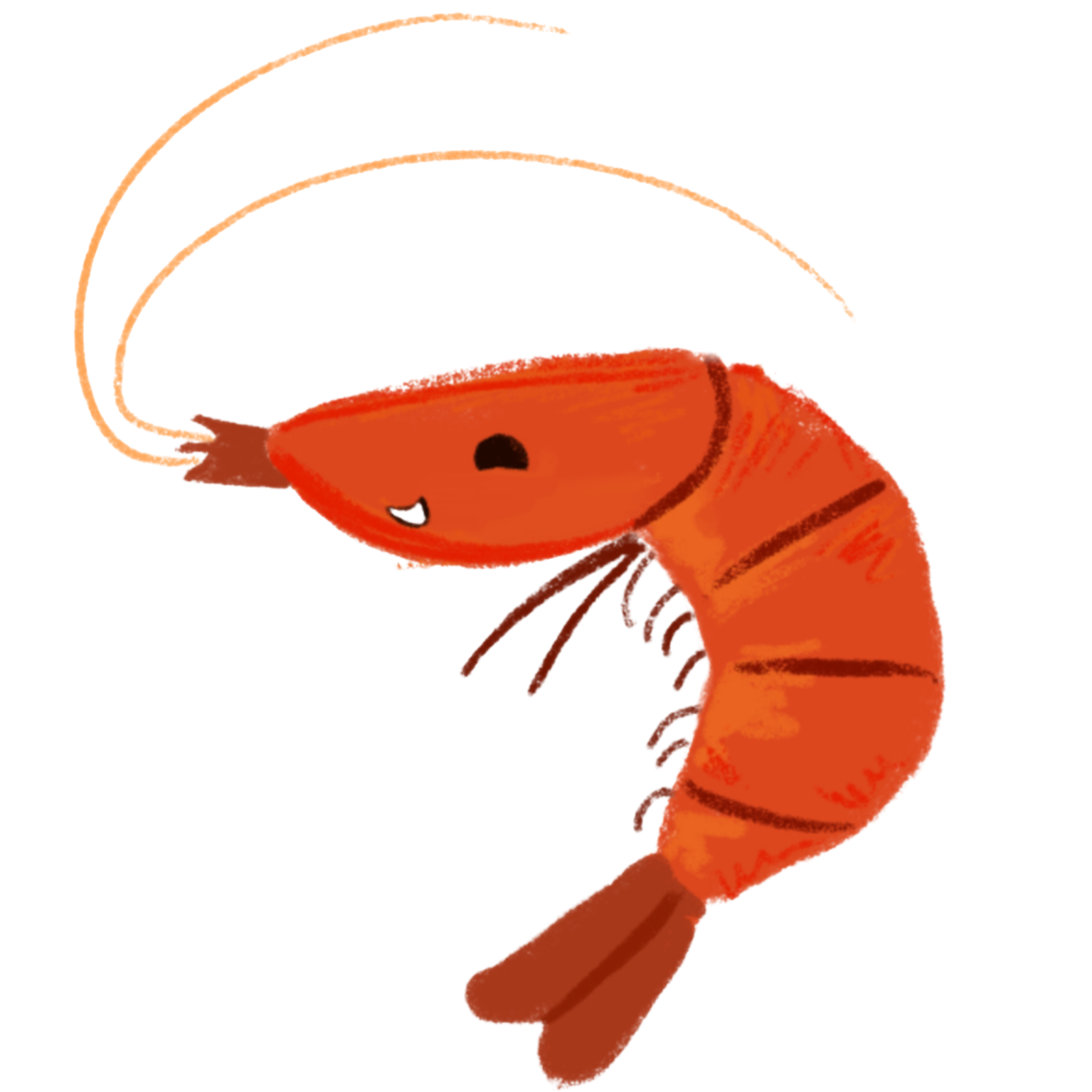 Gabriele the shrimp